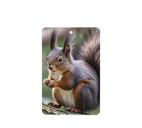 6 Pcs Car Air Fresheners,Funny Hanging Car Air Fresheners Cute Squirrel Cute Long Lasting Scented Mirror Hanging Decoration Ornaments Gift Interior Decor Accessories For Men Women