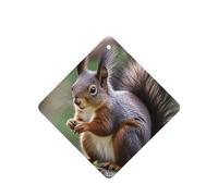 6 Pcs Car Air Fresheners,Funny Hanging Car Air Fresheners Cute Squirrel Cute Long Lasting Scented Mirror Hanging Decoration Ornaments Gift Interior Decor Accessories For Men Women
