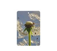 6 Pcs Car Air Fresheners,Funny Hanging Car Air Fresheners Dandelion Cute Long Lasting Scented Mirror Hanging Decoration Ornaments Gift Interior Decor Accessories For Men Women