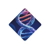 6 Pcs Car Air Fresheners,Funny Hanging Car Air Fresheners Dna Genetic Helix Cute Long Lasting Scented Mirror Hanging Decoration Ornaments Gift Interior Decor Accessories For Men Women