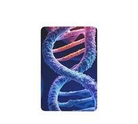 6 Pcs Car Air Fresheners,Funny Hanging Car Air Fresheners Dna Genetic Helix Cute Long Lasting Scented Mirror Hanging Decoration Ornaments Gift Interior Decor Accessories For Men Women