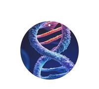 6 Pcs Car Air Fresheners,Funny Hanging Car Air Fresheners Dna Genetic Helix Cute Long Lasting Scented Mirror Hanging Decoration Ornaments Gift Interior Decor Accessories For Men Women