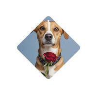6 Pcs Car Air Fresheners,Funny Hanging Car Air Fresheners Dog Holding A Rose Cute Long Lasting Scented Mirror Hanging Decoration Ornaments Gift Interior Decor Accessories For Men Women
