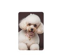 6 Pcs Car Air Fresheners,Funny Hanging Car Air Fresheners French Poodle Cute Long Lasting Scented Mirror Hanging Decoration Ornaments Gift Interior Decor Accessories For Men Women