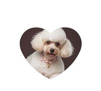 6 Pcs Car Air Fresheners,Funny Hanging Car Air Fresheners French Poodle Cute Long Lasting Scented Mirror Hanging Decoration Ornaments Gift Interior Decor Accessories For Men Women