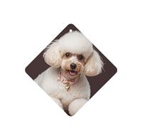 6 Pcs Car Air Fresheners,Funny Hanging Car Air Fresheners French Poodle Cute Long Lasting Scented Mirror Hanging Decoration Ornaments Gift Interior Decor Accessories For Men Women