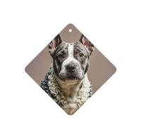 6 Pcs Car Air Fresheners,Funny Hanging Car Air Fresheners French Poodle Cute Long Lasting Scented Mirror Hanging Decoration Ornaments Gift Interior Decor Accessories For Men Women