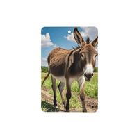 6 Pcs Car Air Fresheners,Funny Hanging Car Air Fresheners Funny Donkey Cute Long Lasting Scented Mirror Hanging Decoration Ornaments Gift Interior Decor Accessories For Men Women