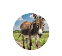 6 Pcs Car Air Fresheners,Funny Hanging Car Air Fresheners Funny Donkey Cute Long Lasting Scented Mirror Hanging Decoration Ornaments Gift Interior Decor Accessories For Men Women