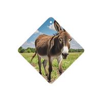 6 Pcs Car Air Fresheners,Funny Hanging Car Air Fresheners Funny Donkey Cute Long Lasting Scented Mirror Hanging Decoration Ornaments Gift Interior Decor Accessories For Men Women