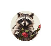 6 Pcs Car Air Fresheners,Funny Hanging Car Air Fresheners Funny Raccoon Cute Long Lasting Scented Mirror Hanging Decoration Ornaments Gift Interior Decor Accessories For Men Women