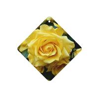 6 Pcs Car Air Fresheners,Funny Hanging Car Air Fresheners Graceful Yellow Rose Flower Cute Long Lasting Scented Mirror Hanging Decoration Ornaments Gift Interior Decor Accessories For Men Women