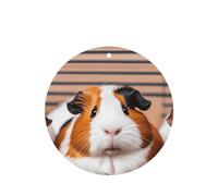 6 Pcs Car Air Fresheners,Funny Hanging Car Air Fresheners Guinea Pigs Cute Long Lasting Scented Mirror Hanging Decoration Ornaments Gift Interior Decor Accessories For Men Women