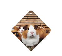 6 Pcs Car Air Fresheners,Funny Hanging Car Air Fresheners Guinea Pigs Cute Long Lasting Scented Mirror Hanging Decoration Ornaments Gift Interior Decor Accessories For Men Women