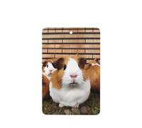 6 Pcs Car Air Fresheners,Funny Hanging Car Air Fresheners Guinea Pigs Cute Long Lasting Scented Mirror Hanging Decoration Ornaments Gift Interior Decor Accessories For Men Women
