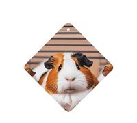 6 Pcs Car Air Fresheners,Funny Hanging Car Air Fresheners Guinea Pigs Cute Long Lasting Scented Mirror Hanging Decoration Ornaments Gift Interior Decor Accessories For Men Women