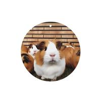 6 Pcs Car Air Fresheners,Funny Hanging Car Air Fresheners Guinea Pigs Cute Long Lasting Scented Mirror Hanging Decoration Ornaments Gift Interior Decor Accessories For Men Women