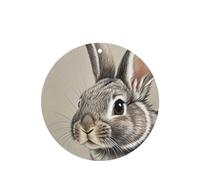 6 Pcs Car Air Fresheners,Funny Hanging Car Air Fresheners Hand Drawn Rabbit Cute Long Lasting Scented Mirror Hanging Decoration Ornaments Gift Interior Decor Accessories For Men Women