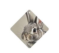 6 Pcs Car Air Fresheners,Funny Hanging Car Air Fresheners Hand Drawn Rabbit Cute Long Lasting Scented Mirror Hanging Decoration Ornaments Gift Interior Decor Accessories For Men Women