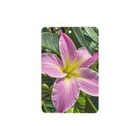 6 Pcs Car Air Fresheners,Funny Hanging Car Air Fresheners Hawaii Tropical Flower Cute Long Lasting Scented Mirror Hanging Decoration Ornaments Gift Interior Decor Accessories For Men Women