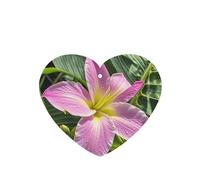 6 Pcs Car Air Fresheners,Funny Hanging Car Air Fresheners Hawaii Tropical Flower Cute Long Lasting Scented Mirror Hanging Decoration Ornaments Gift Interior Decor Accessories For Men Women