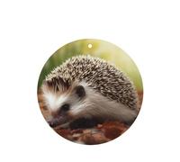 6 Pcs Car Air Fresheners,Funny Hanging Car Air Fresheners Hedgehog Cute Long Lasting Scented Mirror Hanging Decoration Ornaments Gift Interior Decor Accessories For Men Women