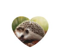 6 Pcs Car Air Fresheners,Funny Hanging Car Air Fresheners Hedgehog Cute Long Lasting Scented Mirror Hanging Decoration Ornaments Gift Interior Decor Accessories For Men Women