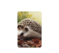 6 Pcs Car Air Fresheners,Funny Hanging Car Air Fresheners Hedgehog Cute Long Lasting Scented Mirror Hanging Decoration Ornaments Gift Interior Decor Accessories For Men Women