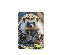 6 Pcs Car Air Fresheners,Funny Hanging Car Air Fresheners Hedgehog Sitting On Top Cute Long Lasting Scented Mirror Hanging Decoration Ornaments Gift Interior Decor Accessories For Men Women