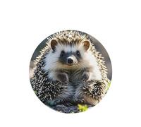 6 Pcs Car Air Fresheners,Funny Hanging Car Air Fresheners Hedgehog Sitting On Top Cute Long Lasting Scented Mirror Hanging Decoration Ornaments Gift Interior Decor Accessories For Men Women