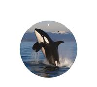 6 Pcs Car Air Fresheners,Funny Hanging Car Air Fresheners Killer Whale Cute Long Lasting Scented Mirror Hanging Decoration Ornaments Gift Interior Decor Accessories For Men Women