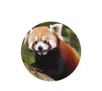 6 Pcs Car Air Fresheners,Funny Hanging Car Air Fresheners Little Red Panda Cute Long Lasting Scented Mirror Hanging Decoration Ornaments Gift Interior Decor Accessories For Men Women