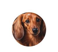 6 Pcs Car Air Fresheners,Funny Hanging Car Air Fresheners Long Haired Dachshund Cute Long Lasting Scented Mirror Hanging Decoration Ornaments Gift Interior Decor Accessories For Men Women