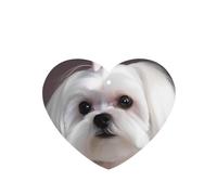 6 Pcs Car Air Fresheners,Funny Hanging Car Air Fresheners Lovely Maltese Dog Cute Long Lasting Scented Mirror Hanging Decoration Ornaments Gift Interior Decor Accessories For Men Women