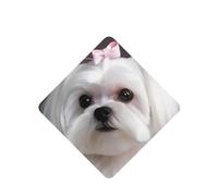 6 Pcs Car Air Fresheners,Funny Hanging Car Air Fresheners Lovely Maltese Dog Cute Long Lasting Scented Mirror Hanging Decoration Ornaments Gift Interior Decor Accessories For Men Women