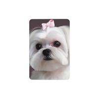 6 Pcs Car Air Fresheners,Funny Hanging Car Air Fresheners Lovely Maltese Dog Cute Long Lasting Scented Mirror Hanging Decoration Ornaments Gift Interior Decor Accessories For Men Women