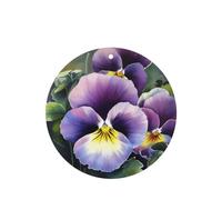 6 Pcs Car Air Fresheners,Funny Hanging Car Air Fresheners Pansy Perfection Cute Long Lasting Scented Mirror Hanging Decoration Ornaments Gift Interior Decor Accessories For Men Women