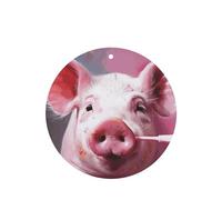 6 Pcs Car Air Fresheners,Funny Hanging Car Air Fresheners Pig Cute Long Lasting Scented Mirror Hanging Decoration Ornaments Gift Interior Decor Accessories For Men Women