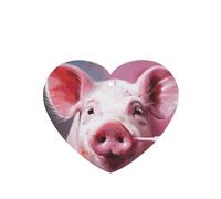 6 Pcs Car Air Fresheners,Funny Hanging Car Air Fresheners Pig Cute Long Lasting Scented Mirror Hanging Decoration Ornaments Gift Interior Decor Accessories For Men Women