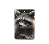 6 Pcs Car Air Fresheners,Funny Hanging Car Air Fresheners Raccoon Cute Long Lasting Scented Mirror Hanging Decoration Ornaments Gift Interior Decor Accessories For Men Women