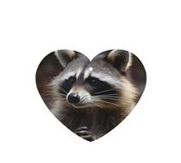 6 Pcs Car Air Fresheners,Funny Hanging Car Air Fresheners Raccoon Cute Long Lasting Scented Mirror Hanging Decoration Ornaments Gift Interior Decor Accessories For Men Women