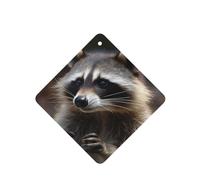6 Pcs Car Air Fresheners,Funny Hanging Car Air Fresheners Raccoon Cute Long Lasting Scented Mirror Hanging Decoration Ornaments Gift Interior Decor Accessories For Men Women