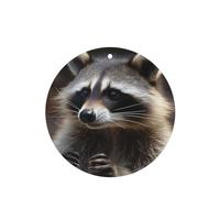 6 Pcs Car Air Fresheners,Funny Hanging Car Air Fresheners Raccoon Cute Long Lasting Scented Mirror Hanging Decoration Ornaments Gift Interior Decor Accessories For Men Women