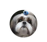 6 Pcs Car Air Fresheners,Funny Hanging Car Air Fresheners Shih Tzu Dog Cute Long Lasting Scented Mirror Hanging Decoration Ornaments Gift Interior Decor Accessories For Men Women