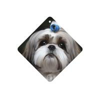 6 Pcs Car Air Fresheners,Funny Hanging Car Air Fresheners Shih Tzu Dog Cute Long Lasting Scented Mirror Hanging Decoration Ornaments Gift Interior Decor Accessories For Men Women