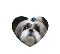 6 Pcs Car Air Fresheners,Funny Hanging Car Air Fresheners Shih Tzu Dog Cute Long Lasting Scented Mirror Hanging Decoration Ornaments Gift Interior Decor Accessories For Men Women
