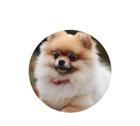 6 Pcs Car Air Fresheners,Funny Hanging Car Air Fresheners Short-Haired Pomeranian Dog Cute Long Lasting Scented Mirror Hanging Decoration Ornaments Gift Interior Decor Accessories For Men Women