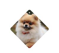 6 Pcs Car Air Fresheners,Funny Hanging Car Air Fresheners Short-Haired Pomeranian Dog Cute Long Lasting Scented Mirror Hanging Decoration Ornaments Gift Interior Decor Accessories For Men Women