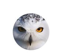 6 Pcs Car Air Fresheners,Funny Hanging Car Air Fresheners Snowy Owl Eyes Cute Long Lasting Scented Mirror Hanging Decoration Ornaments Gift Interior Decor Accessories For Men Women