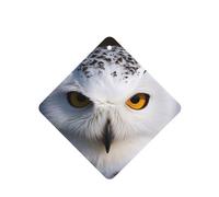 6 Pcs Car Air Fresheners,Funny Hanging Car Air Fresheners Snowy Owl Eyes Cute Long Lasting Scented Mirror Hanging Decoration Ornaments Gift Interior Decor Accessories For Men Women